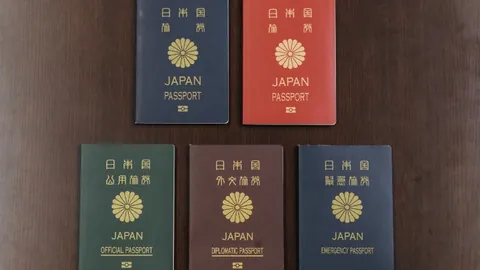 在挑战中升华，于困境中奋进（竞技视角）——人民日报