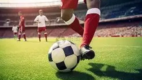 [德甲焦点]屈布勒双响助弗赖堡逆境逆转斯图加特